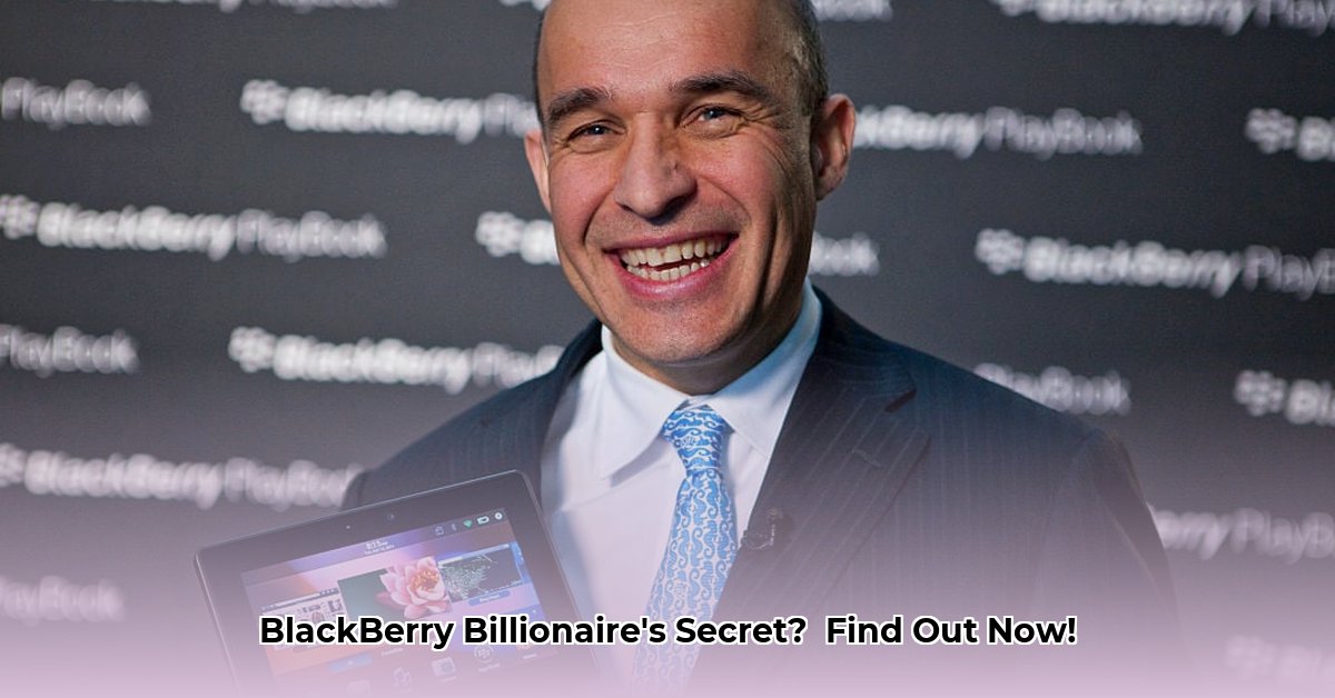 jim-balsille-net-worth